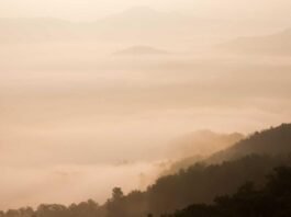 Shenzhen’s Qianhai Zone Expands Tax Benefits: A Guide for Foreign Companies
