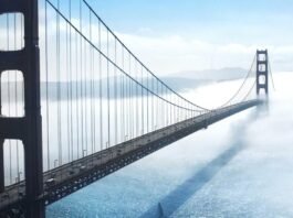China Overhauls Procurement and Bidding Laws: 4 Changes That Open Doors for Foreign Firms